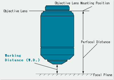 Working Distance (W.D.) 