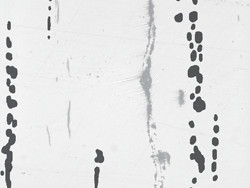 图谱对比解决方案（含非金属夹杂物的钢）