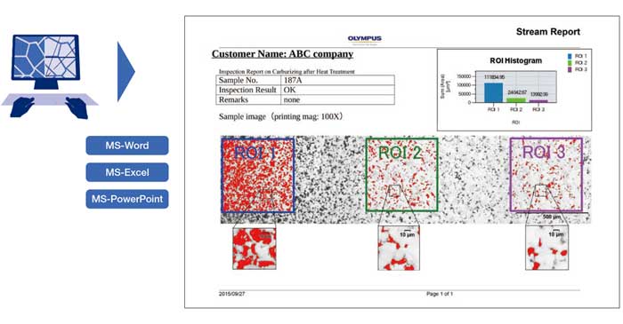 总结颗粒计数数据的专业报告