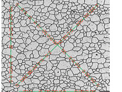 测量晶粒度截点法解决方案（含铁素体晶粒的微观结构）