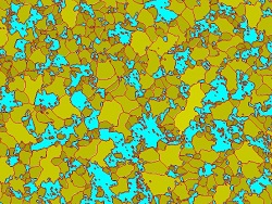 第二相测量晶粒度面积法解决方案（含铁素体晶粒的微观结构）