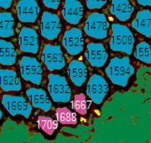 对象探测（超导体）