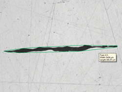 夹杂物最恶劣视场法解决方案（含非金属夹杂物的钢）