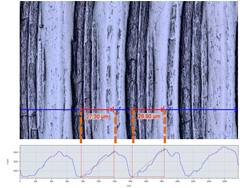 单视图和3D轮廓测量