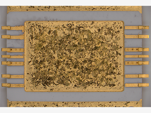 Observar imágenes de inspección con colores precisos