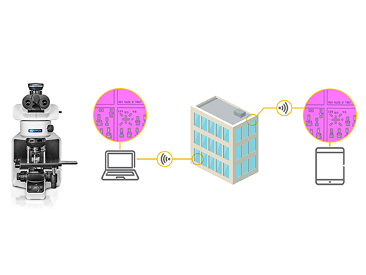 Share Sample Images with Colleagues Outside High-Security Areas