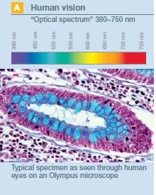 Excellent Color Reproducibility