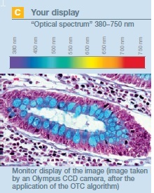 Excellent Color Reproducibility