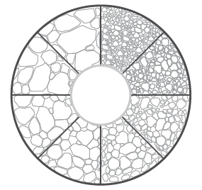 Exemplo de um retículo da ocular do microscópio usado para comparar o grão com uma imagem real