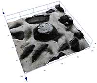 显示嵌入金属表面金刚石晶粒的电沉积工具