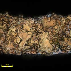 cutting surface evaluation_objective 100x_zoom 2x