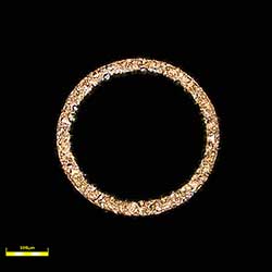 cutting surface evaluation_objective 20x_zoom 1x