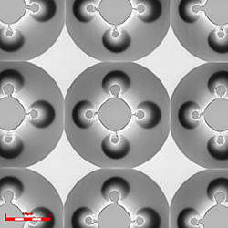 Gray scale mask 凹 ob50×