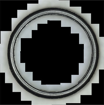 Image of a product observed from the upper surface (42X)