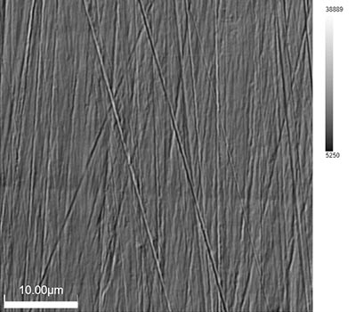 DIC luminance images