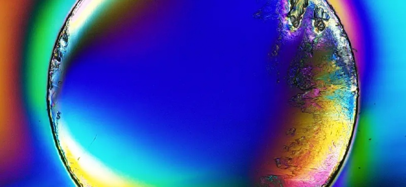 plastic molded product