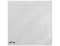 copper with chromium adhesion layer without load applied