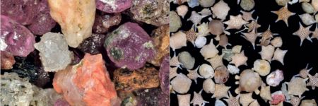 顕微鏡で見た砂