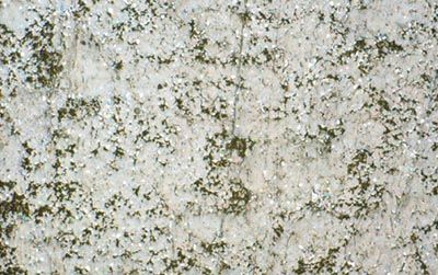 铜箔表面的高分辨率图像