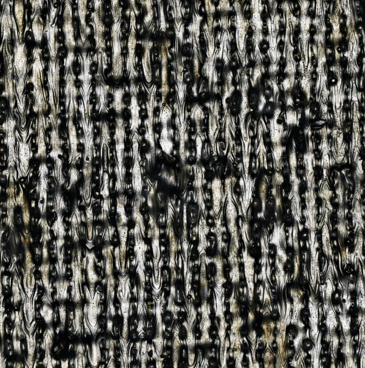 Uma imagem colorida da digitalização de 3 mm × 3 mm capturada usando uma longa distância de trabalho, objetiva de 50X.
